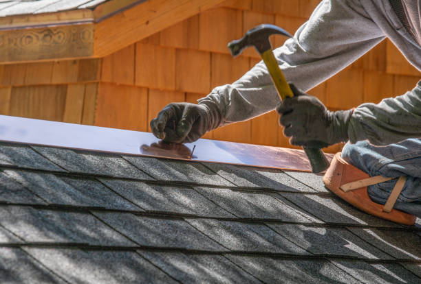 Best Roof Maintenance and Cleaning  in Stony Point, MI