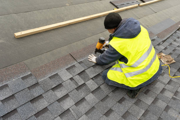 Best Storm Damage Roof Repair  in Stony Point, MI