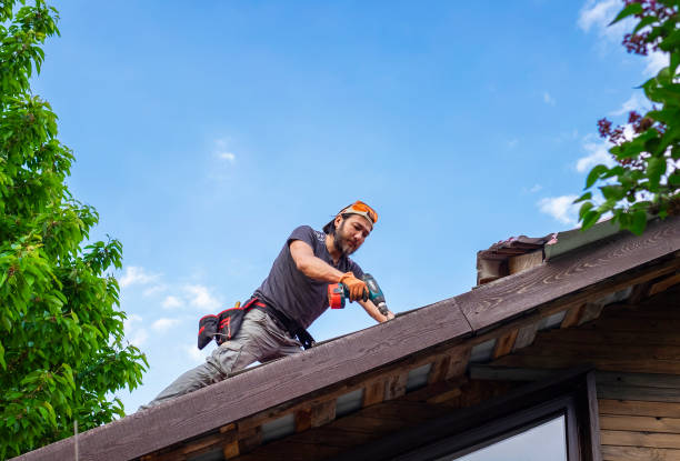 Best Wood Shake Roofing  in Stony Point, MI
