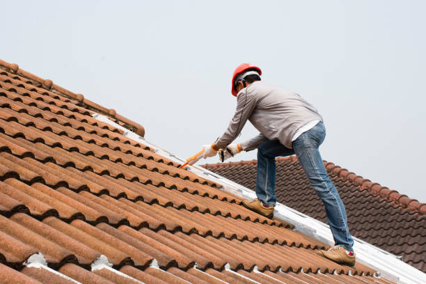 Best Roof Insulation Installation  in Stony Point, MI