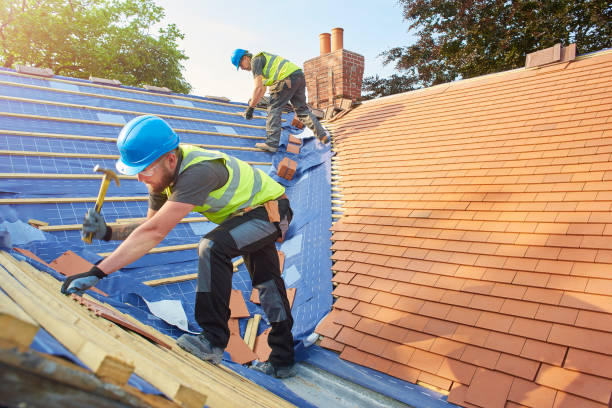 Best Roof Insulation Installation  in Stony Point, MI